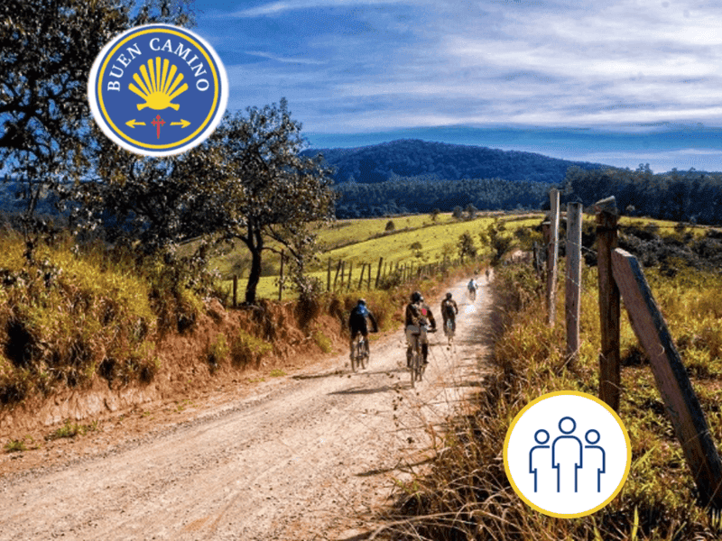 Transfere de passageiros